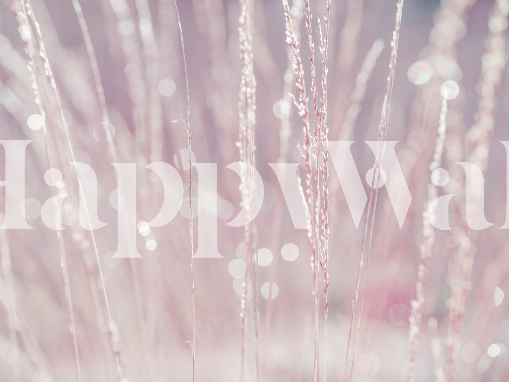 Delicate pink grass with sparkling bokeh wallpaper