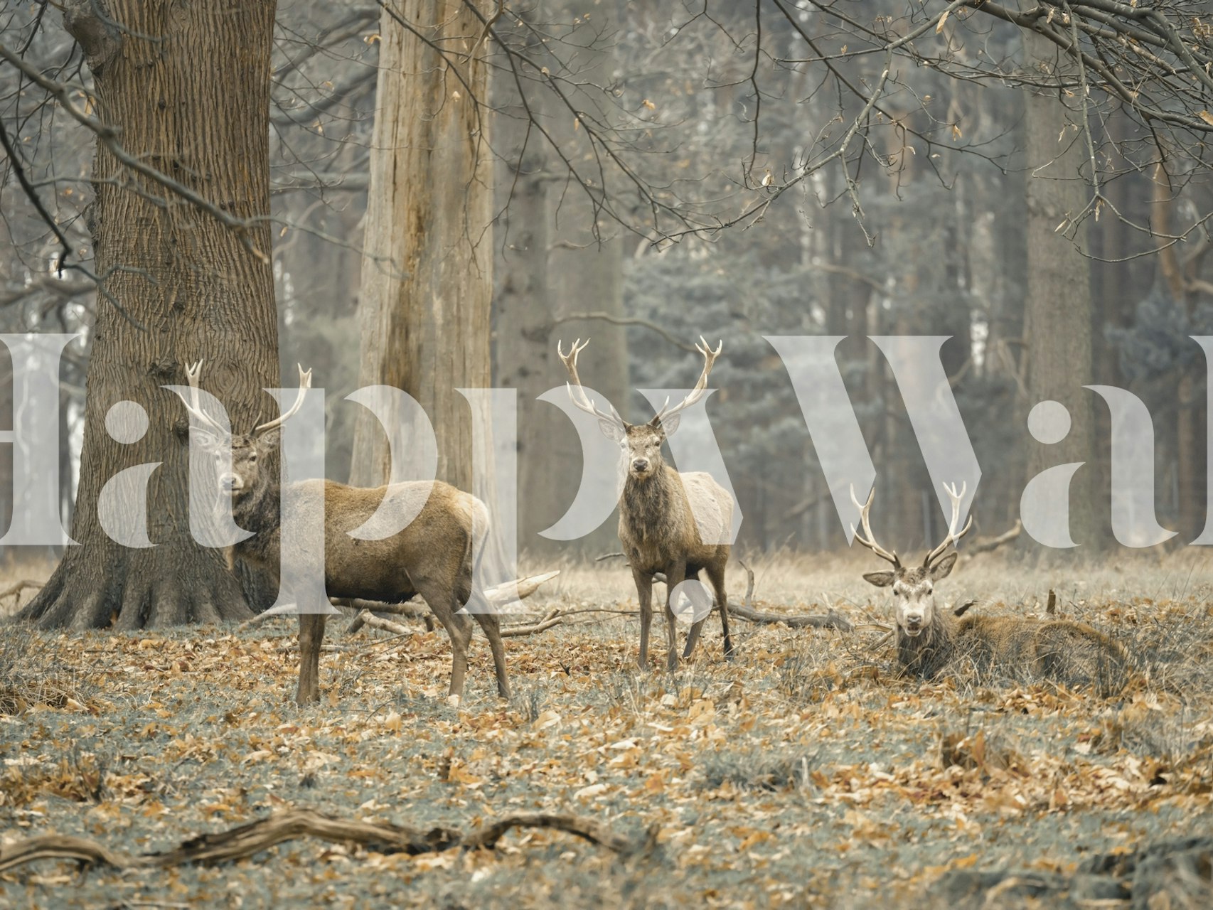Three stags in a foggy forest with brown tones wallpaper