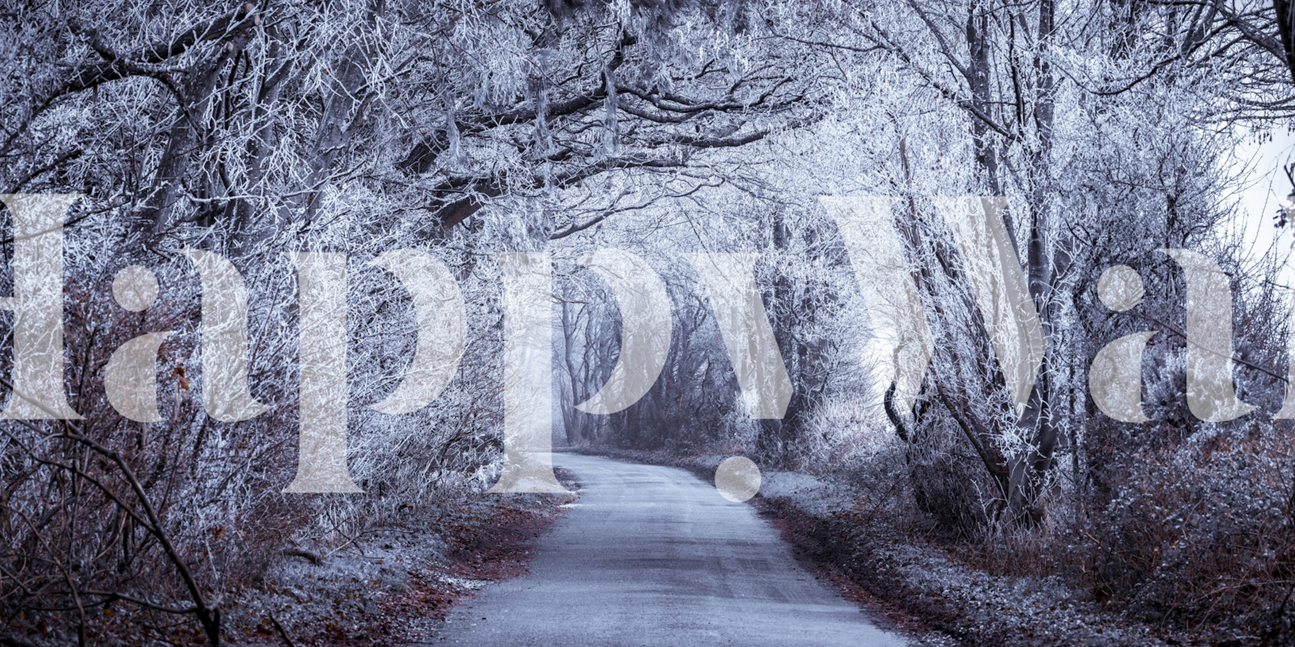 Papier peint d'un frosted road through forest.