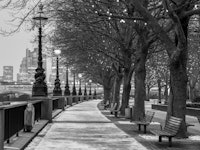 Thames promenade tapeta