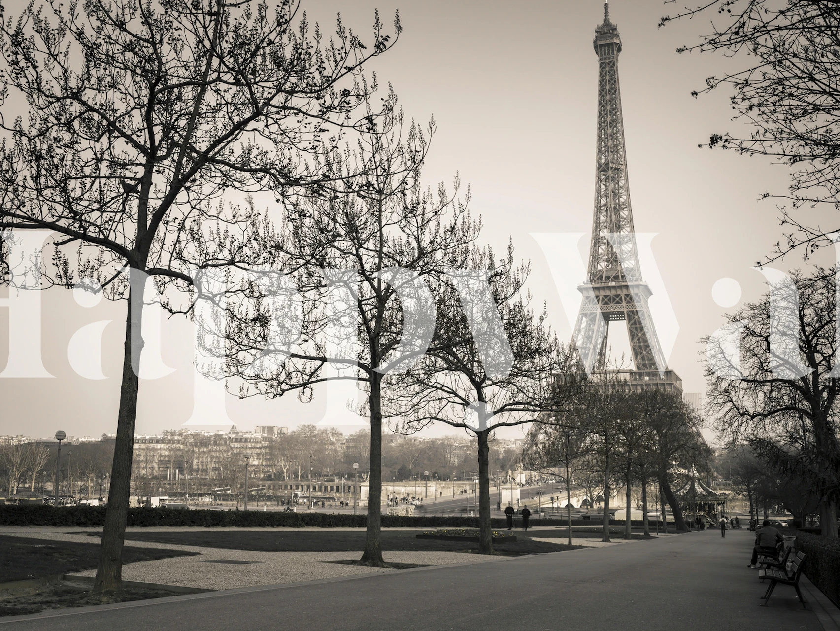 Pathway to the Eiffel Tower wallpaper in a room