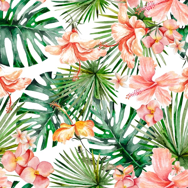 Hibiscus Flowers and Tropical Leaves