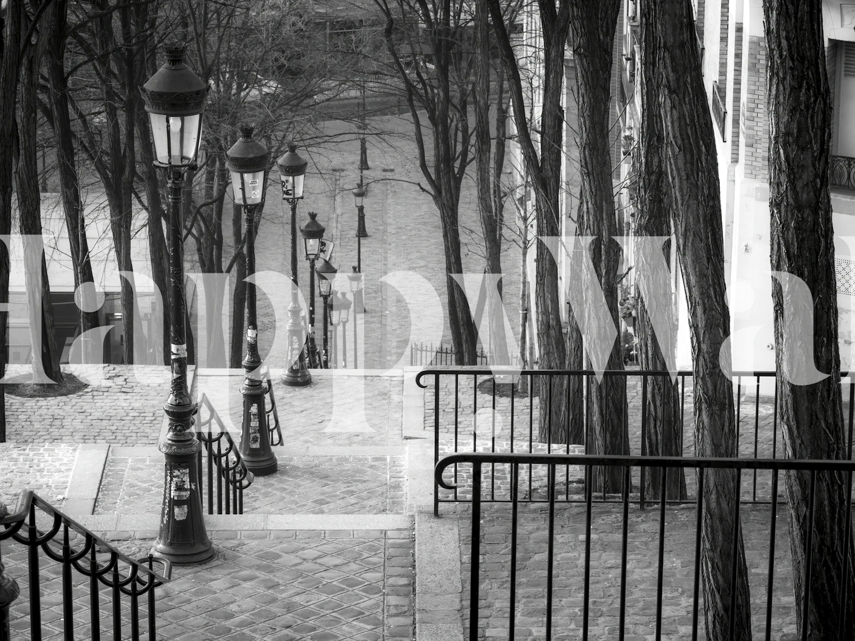 Staircase in Montmartre tapetdesign