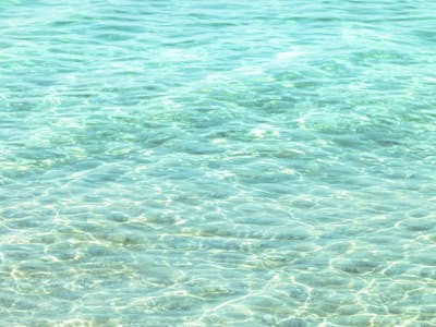 Τοιχογραφία