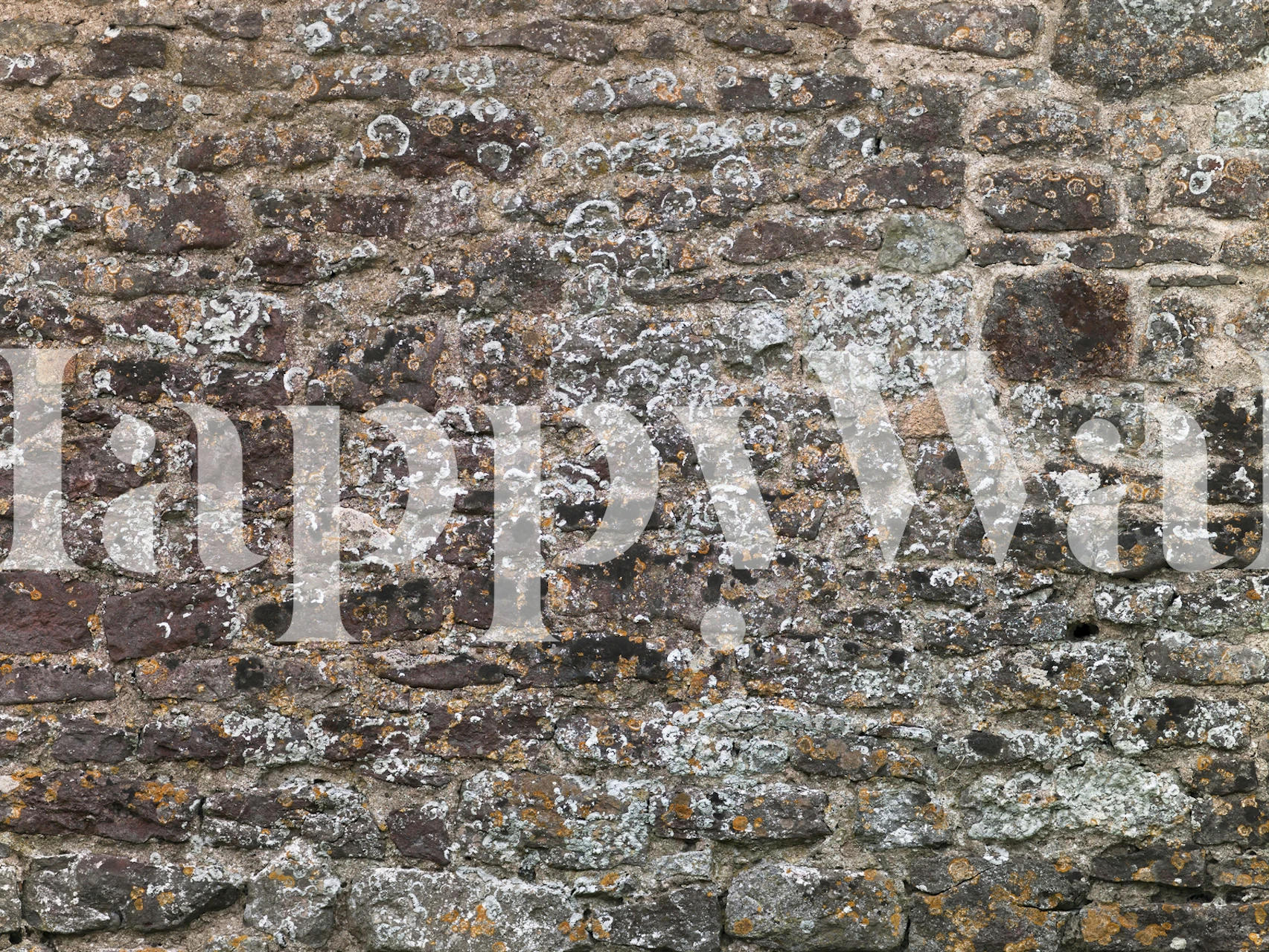 Carta da parati muro in mattoni antichi in una stanza