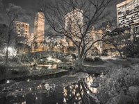 Central Park in New York City tapeta