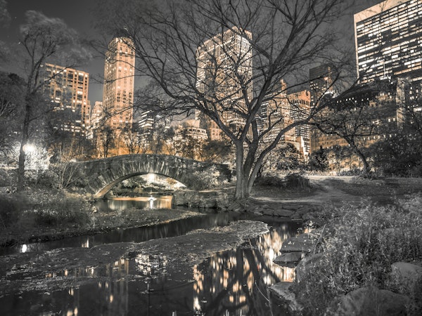 Central Park in New York City
