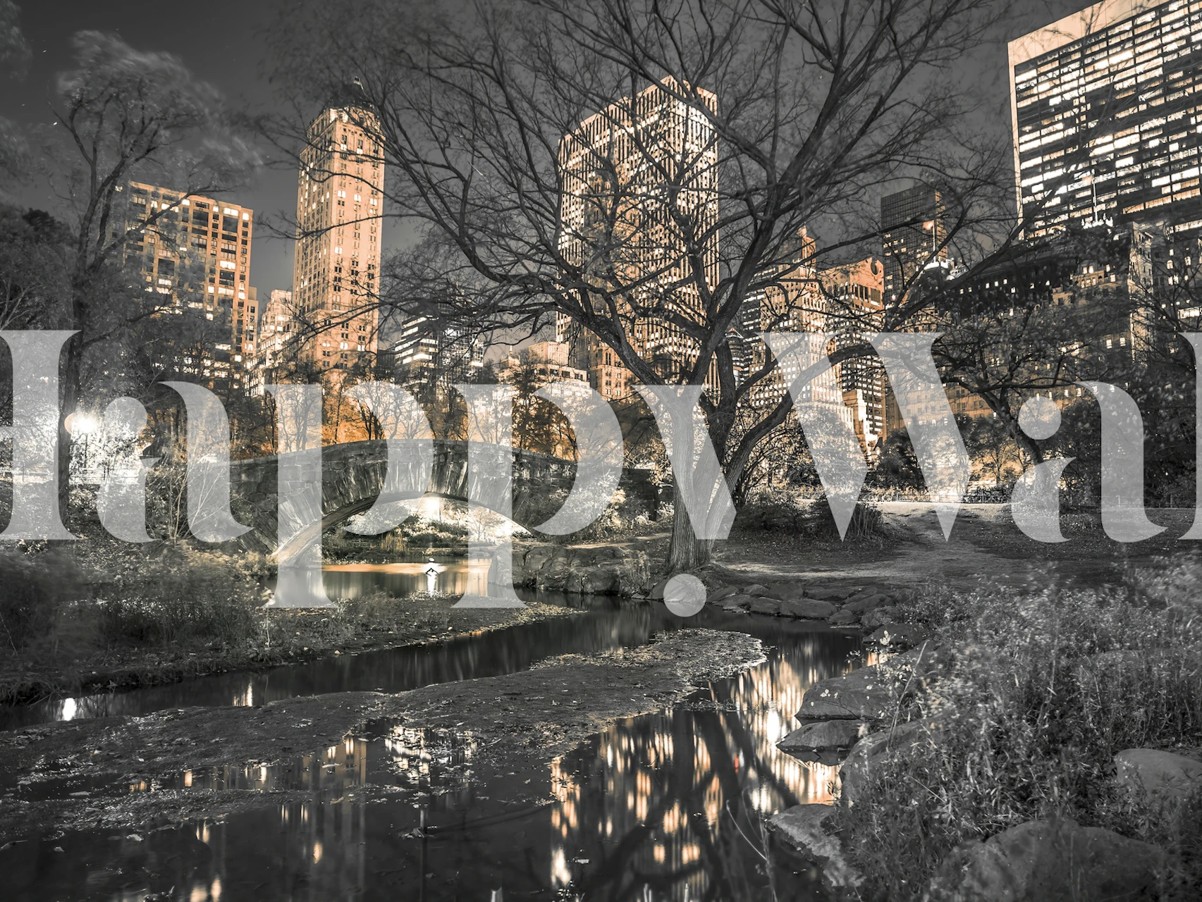 Central Park New York City wall mural