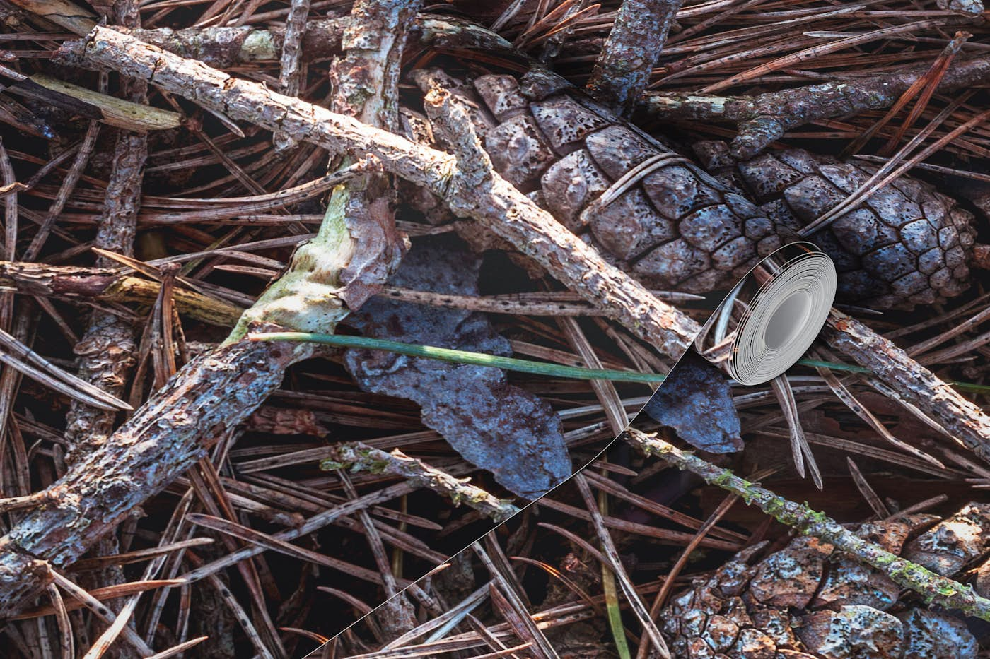 Pine cones and tree branches wallpaper roll