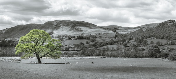 Beautiful countryside