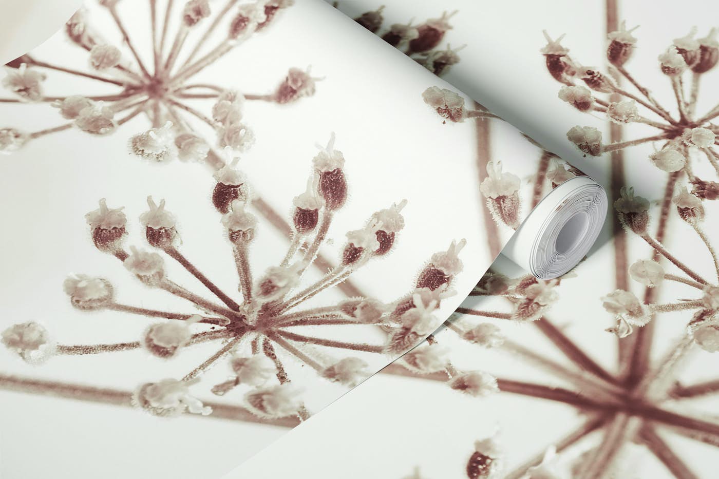 Cow parsley flower wallpaper roll