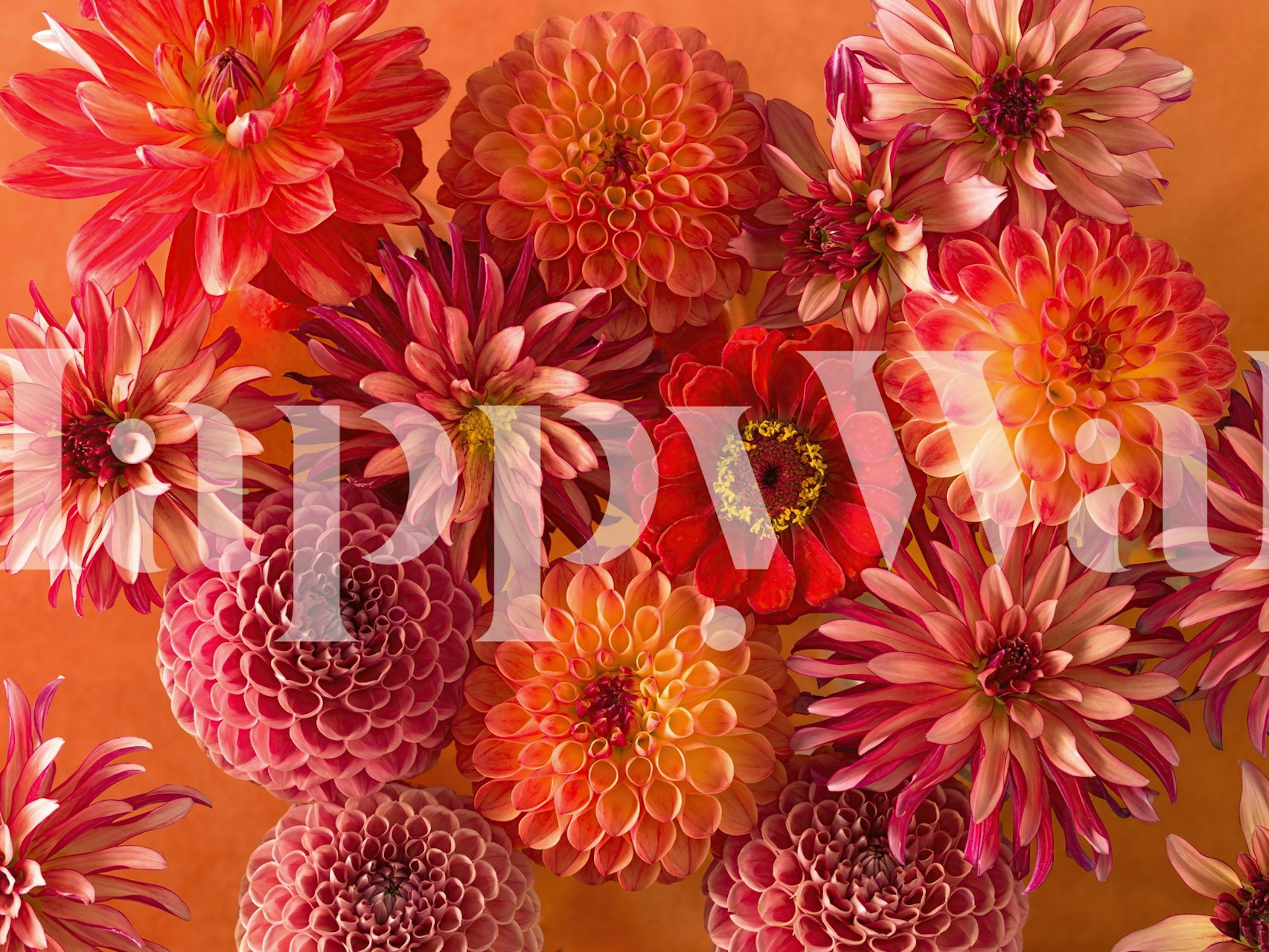 Tapeta Mixed flowers v interiéru