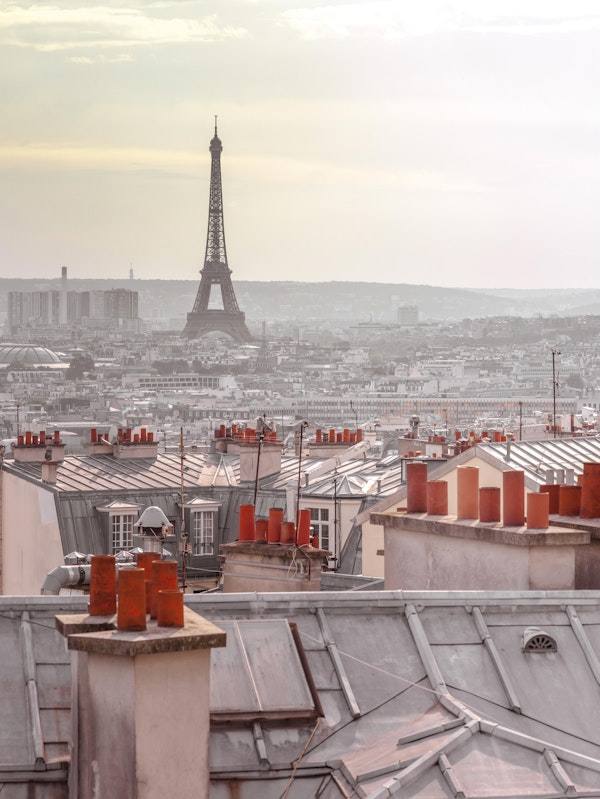 Paris Rooftops Dreamscape