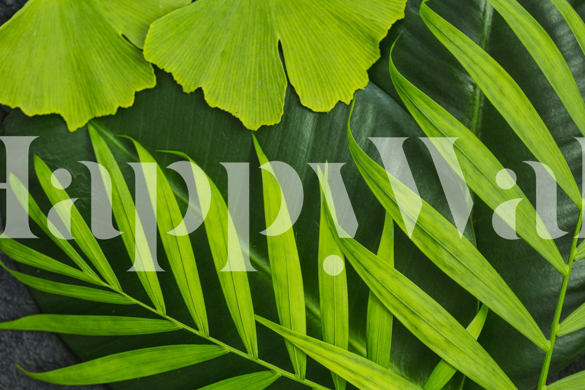 Wandbild mit frischen grünen Blättern in verschiedenen Grüntönen und Blattstrukturen