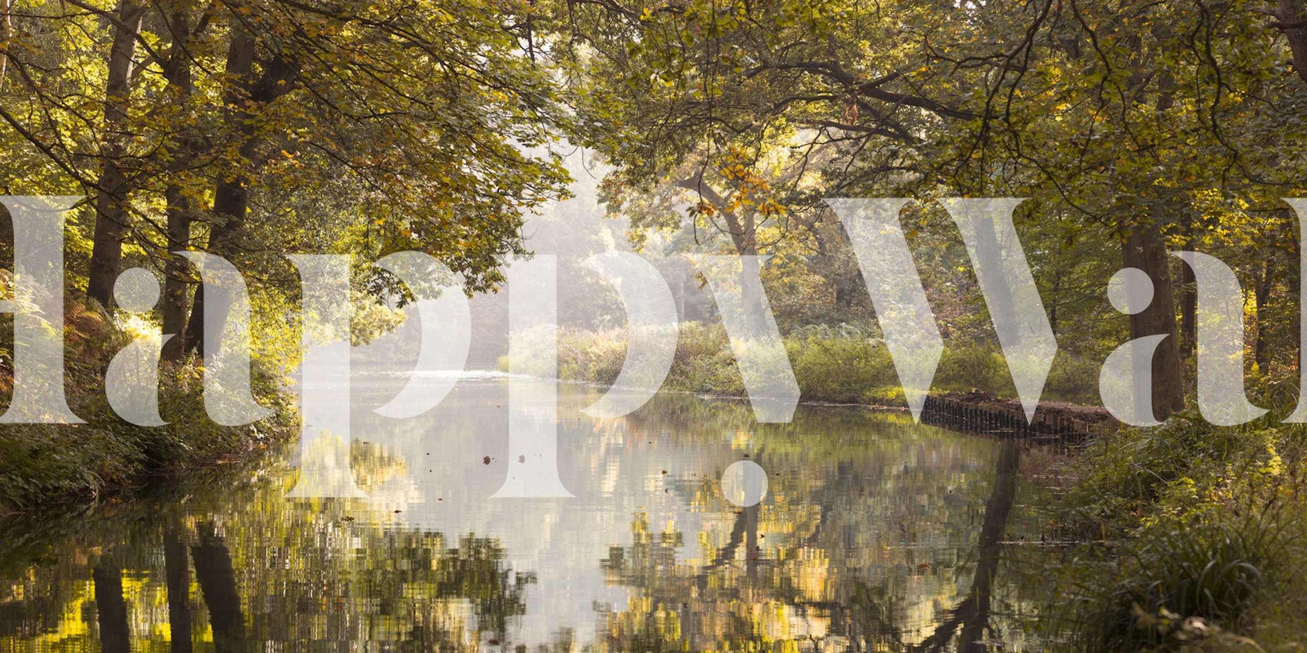 Lush green canal scene with trees reflecting on the water wallpaper