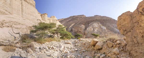 Negev Desert