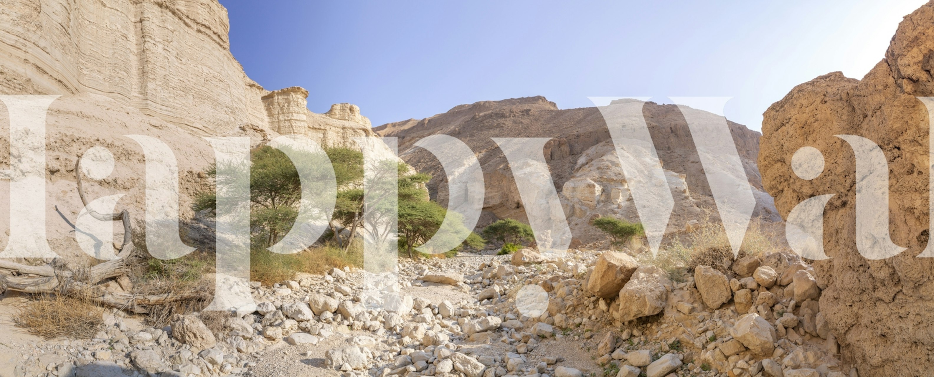 Beige desert landscape wallpaper with rocky formations and greenery