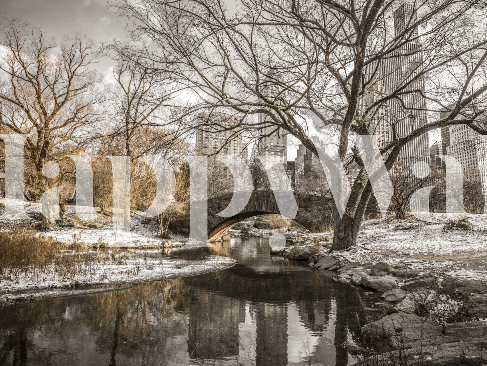 Central Park wallpaper design in a room