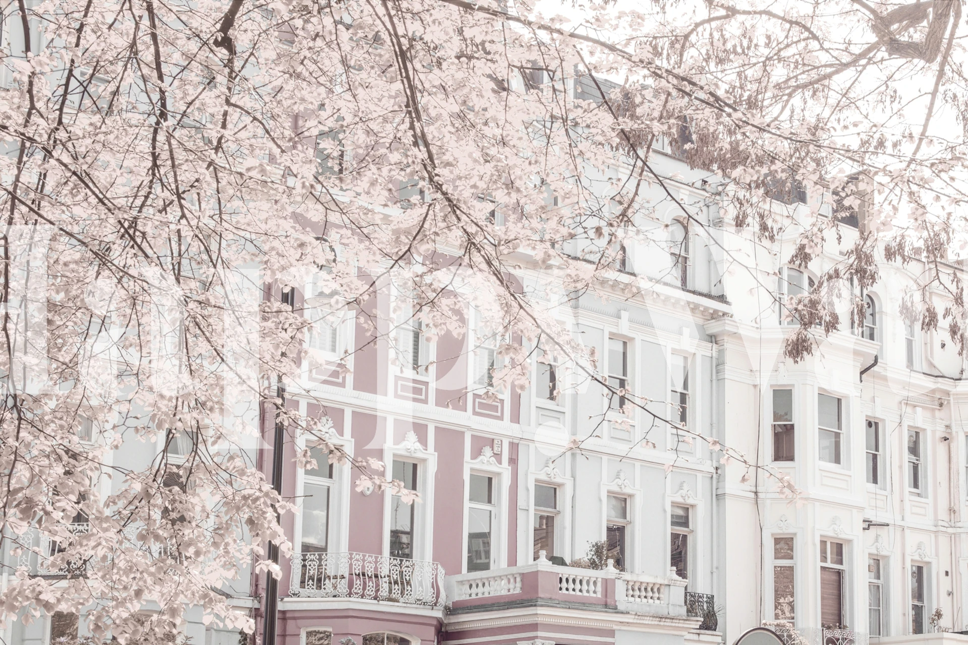 Sjarmerende Portobello Road-bygning med blomsterveggmaleri