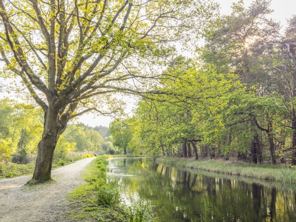 Canal on a spring day