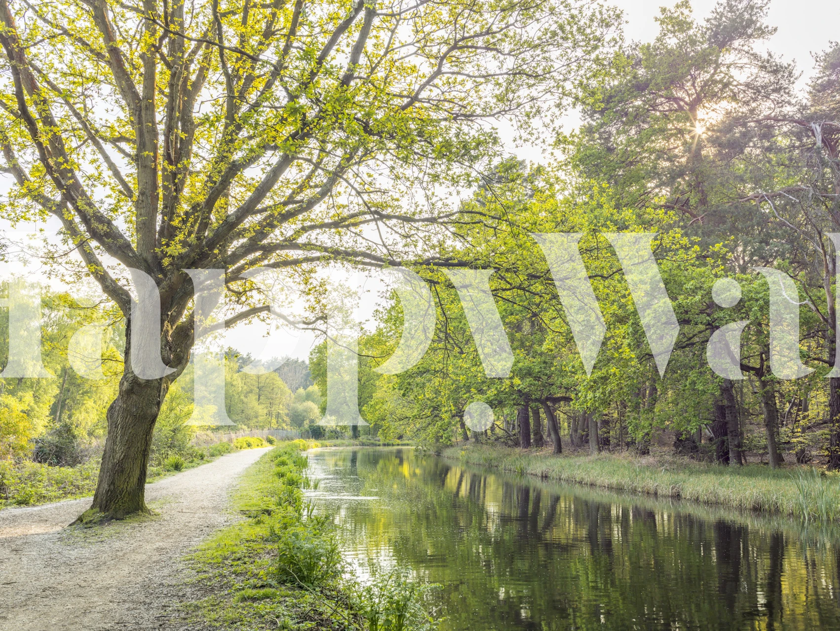 Canal on a spring day tapet i et rom