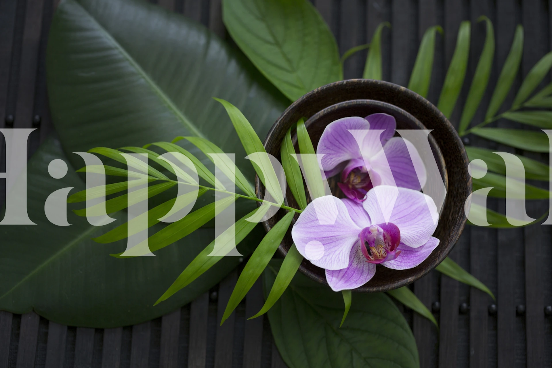 Fototapeta Orchidea kwitnąca w misce z liśćmi palmowymi