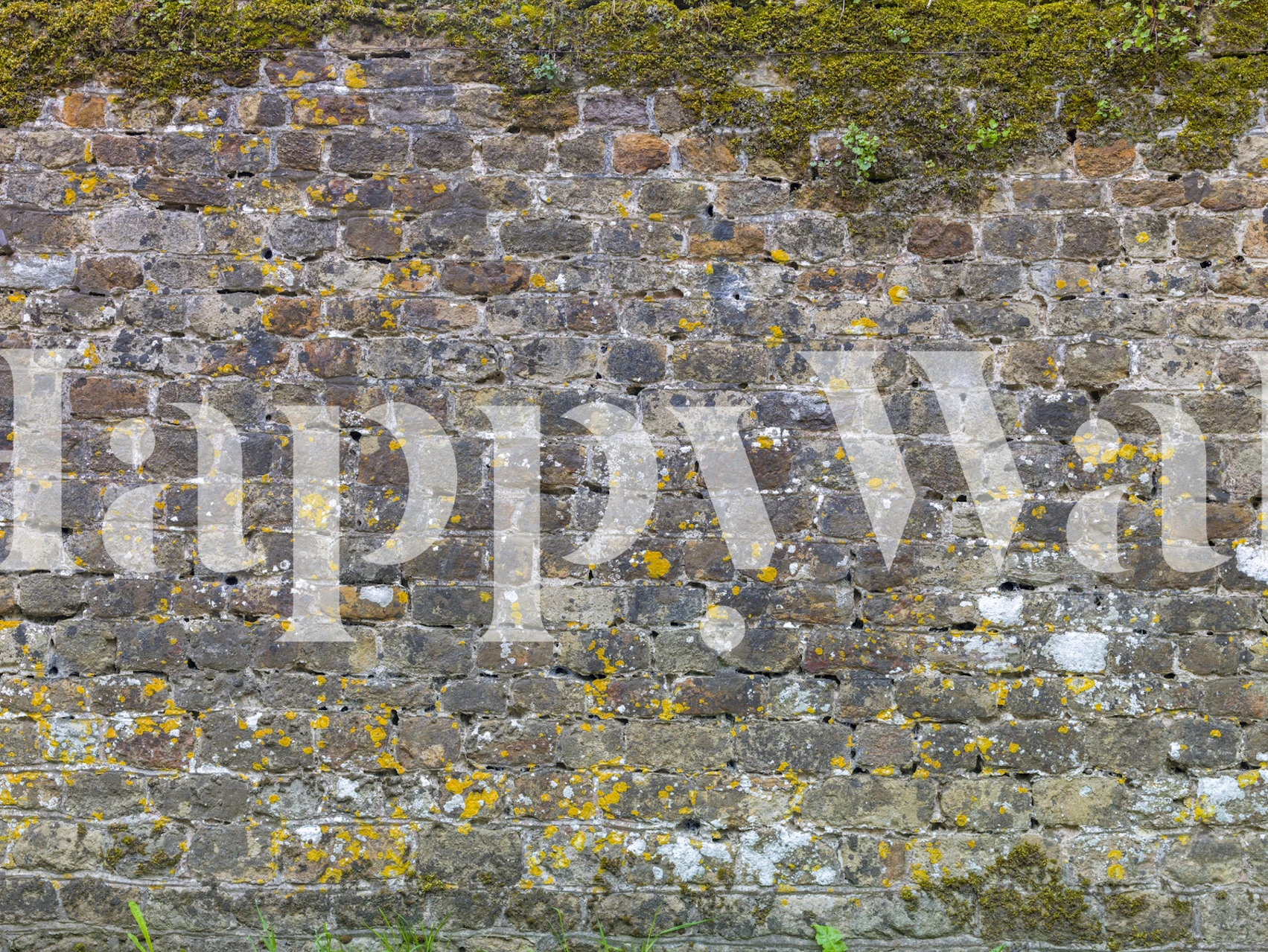 Alte Steinmauer Tapete in einem Raum