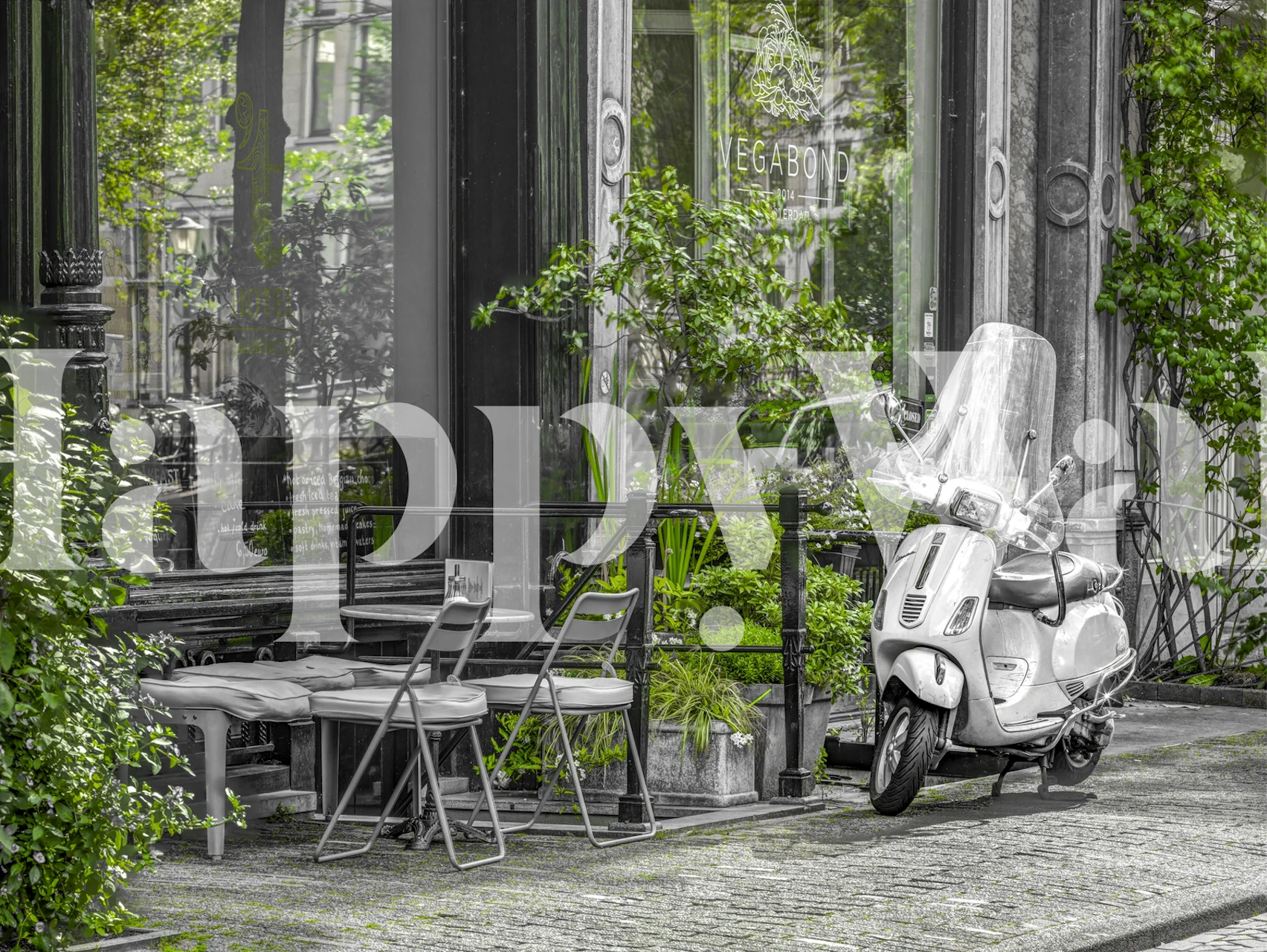 Scooter by street cafe wall mural depicting a vintage vibe with grayscale tones and urban cafe setting.