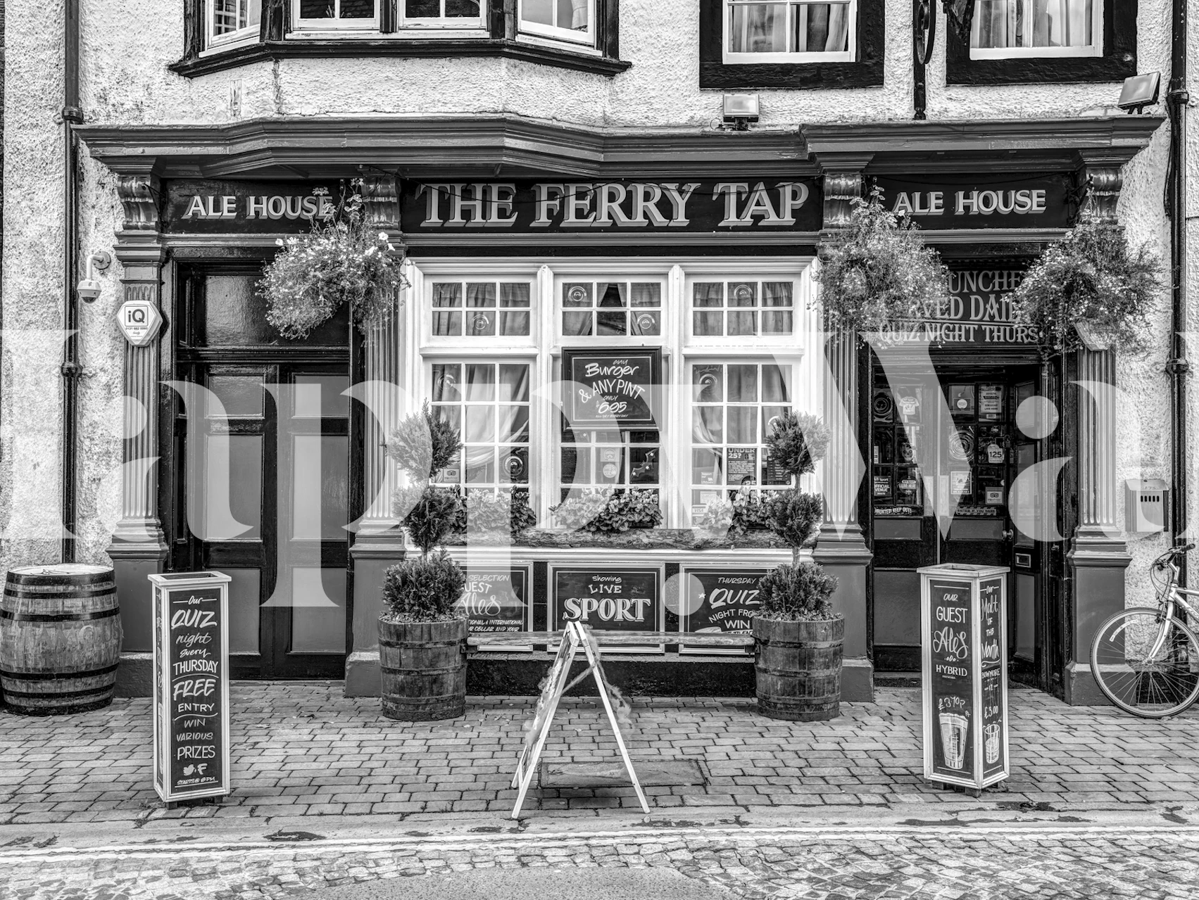 Cafe in South Queensferry Wanddesign