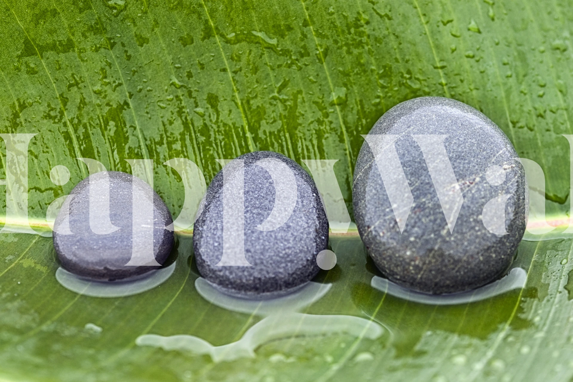 Three black pebbles on a green leaf, natural style wallpaper