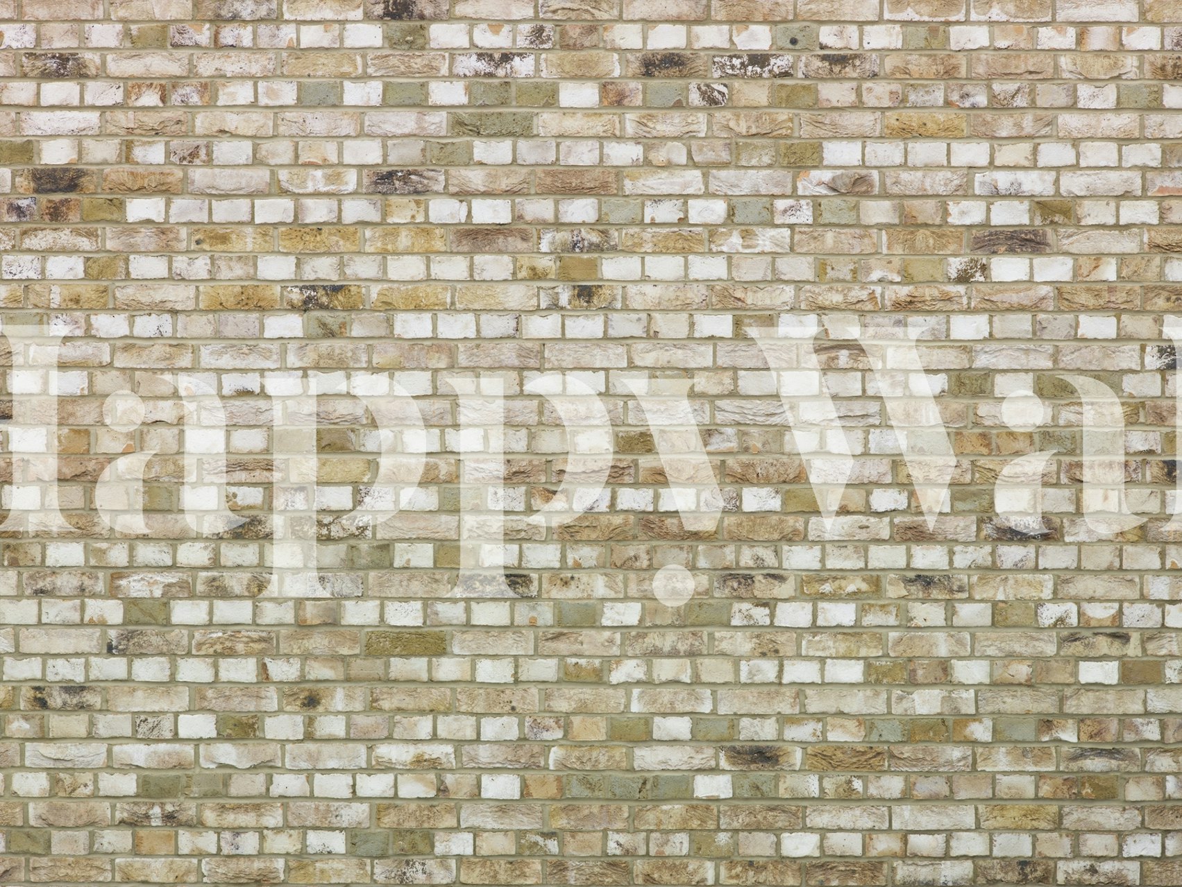 Brick wall 4 Tapetdesign