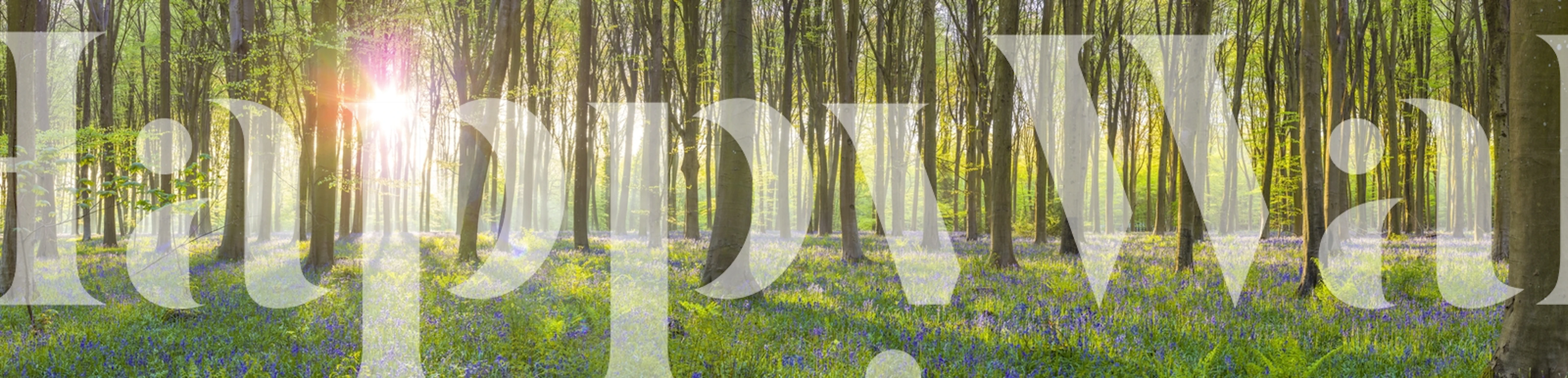 Sun rays filtering through a forest of trees with purple flowers on the ground wallpaper