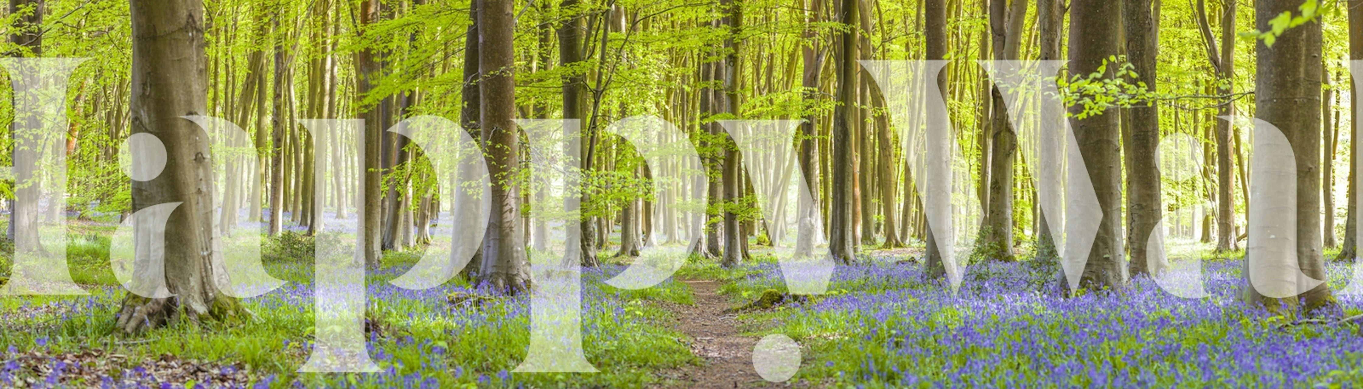 Forest pathway with green leaves and bluebells wallpaper