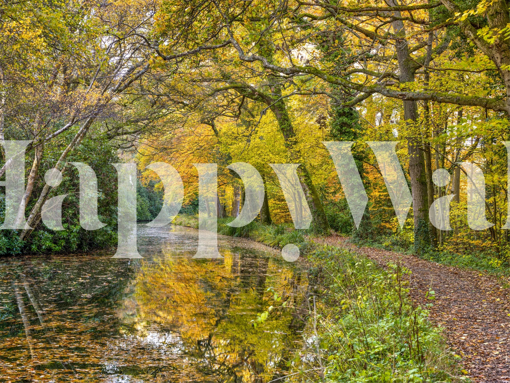 Herfstboskanaalmuurschildering met levendige gebladertereflecties