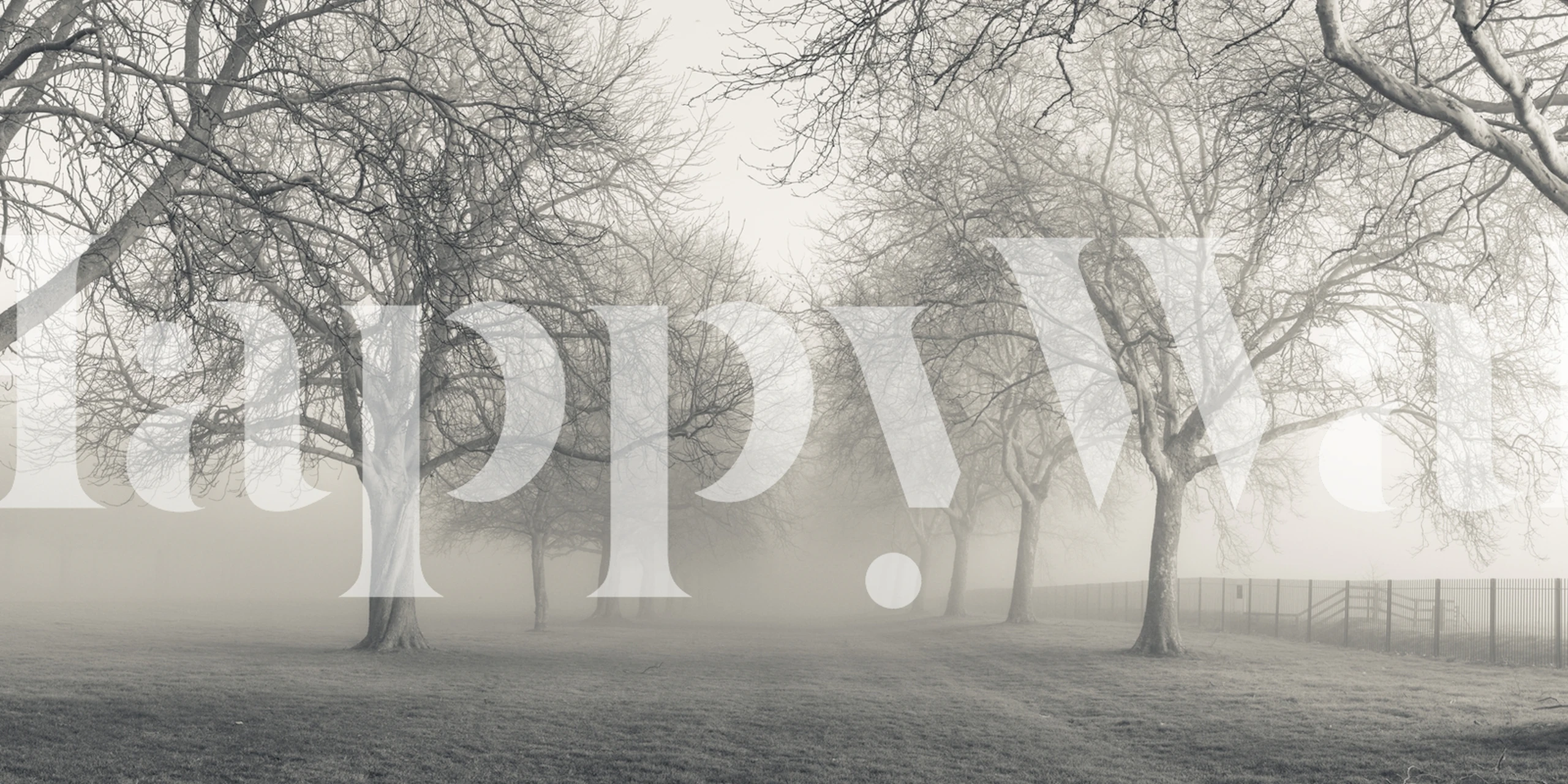 Black and white wallpaper featuring trees in foggy scene