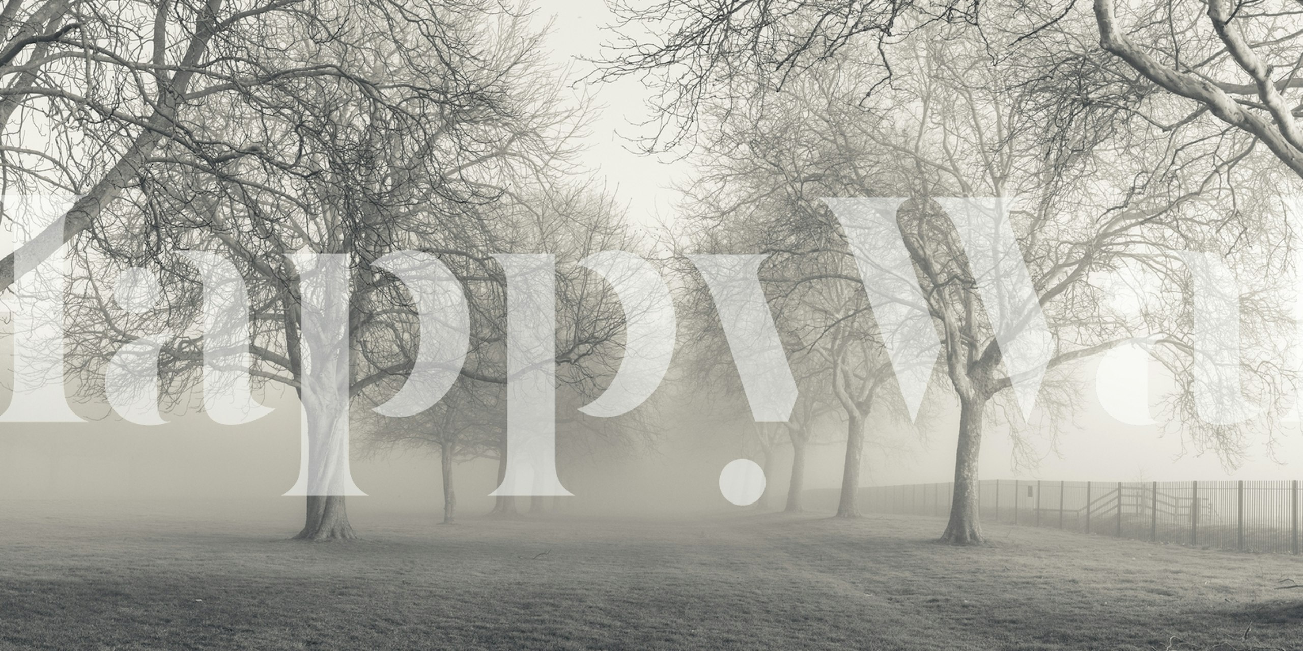Black and white wallpaper featuring trees in foggy scene