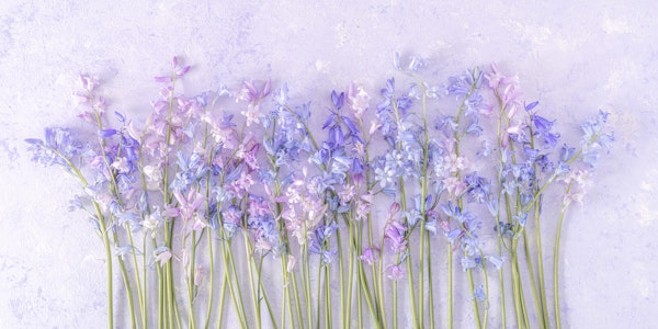Bluebell flowers