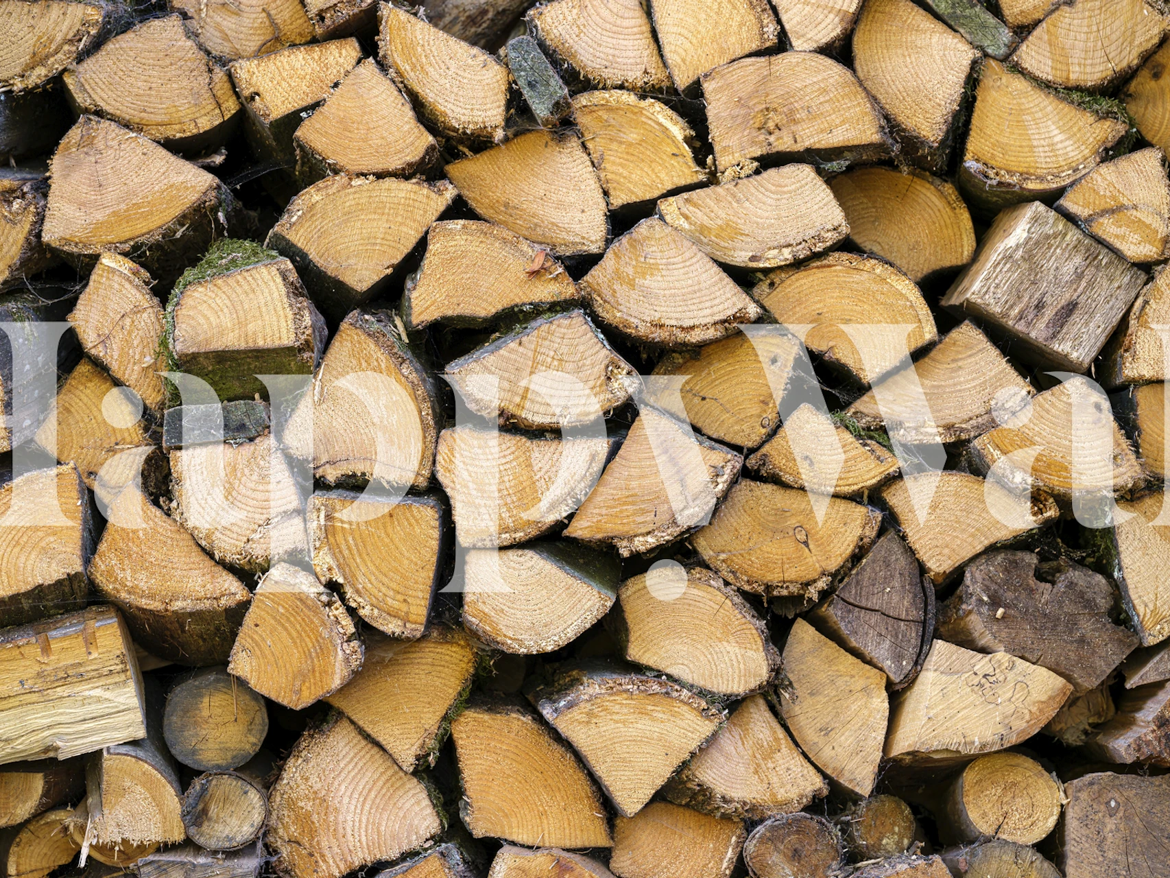 Wood logs wallpaper design in a room