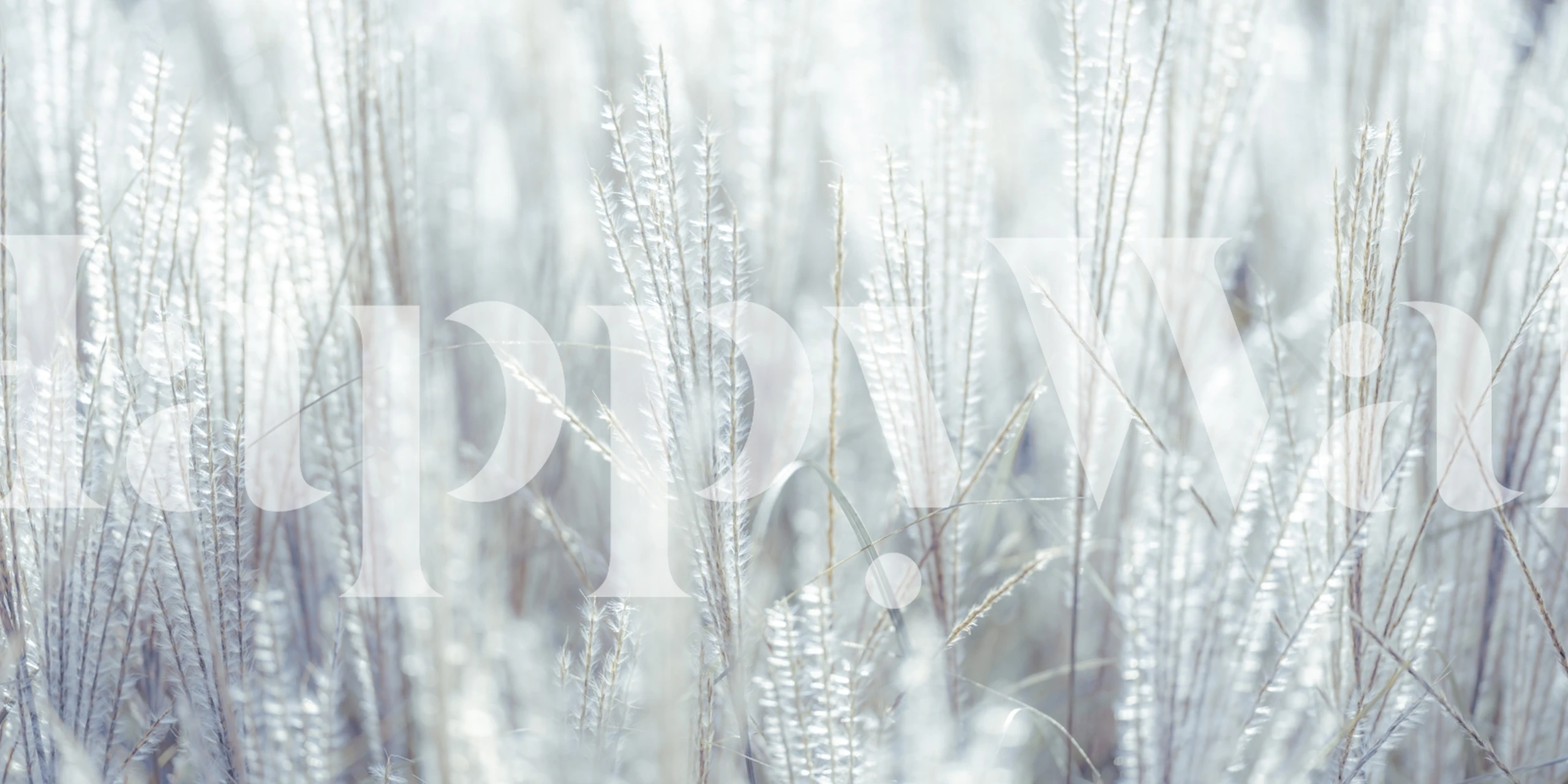 Japanese Silver Grass behang in een kamer