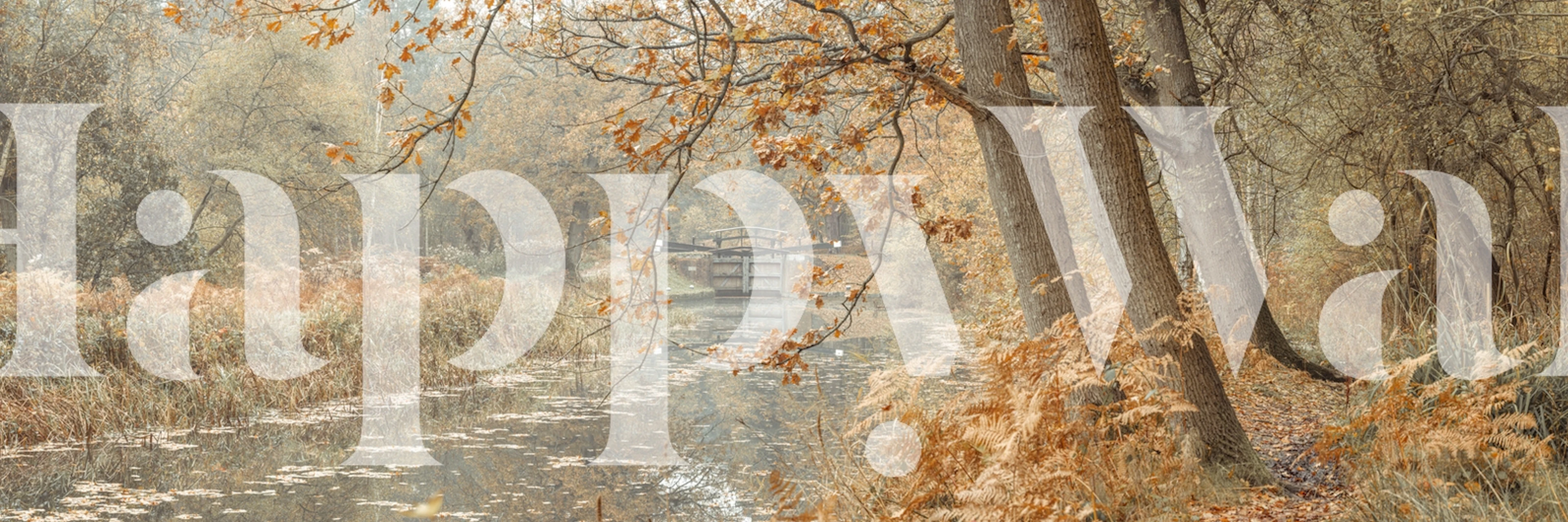 Höstskog med en lugn kanalmålning