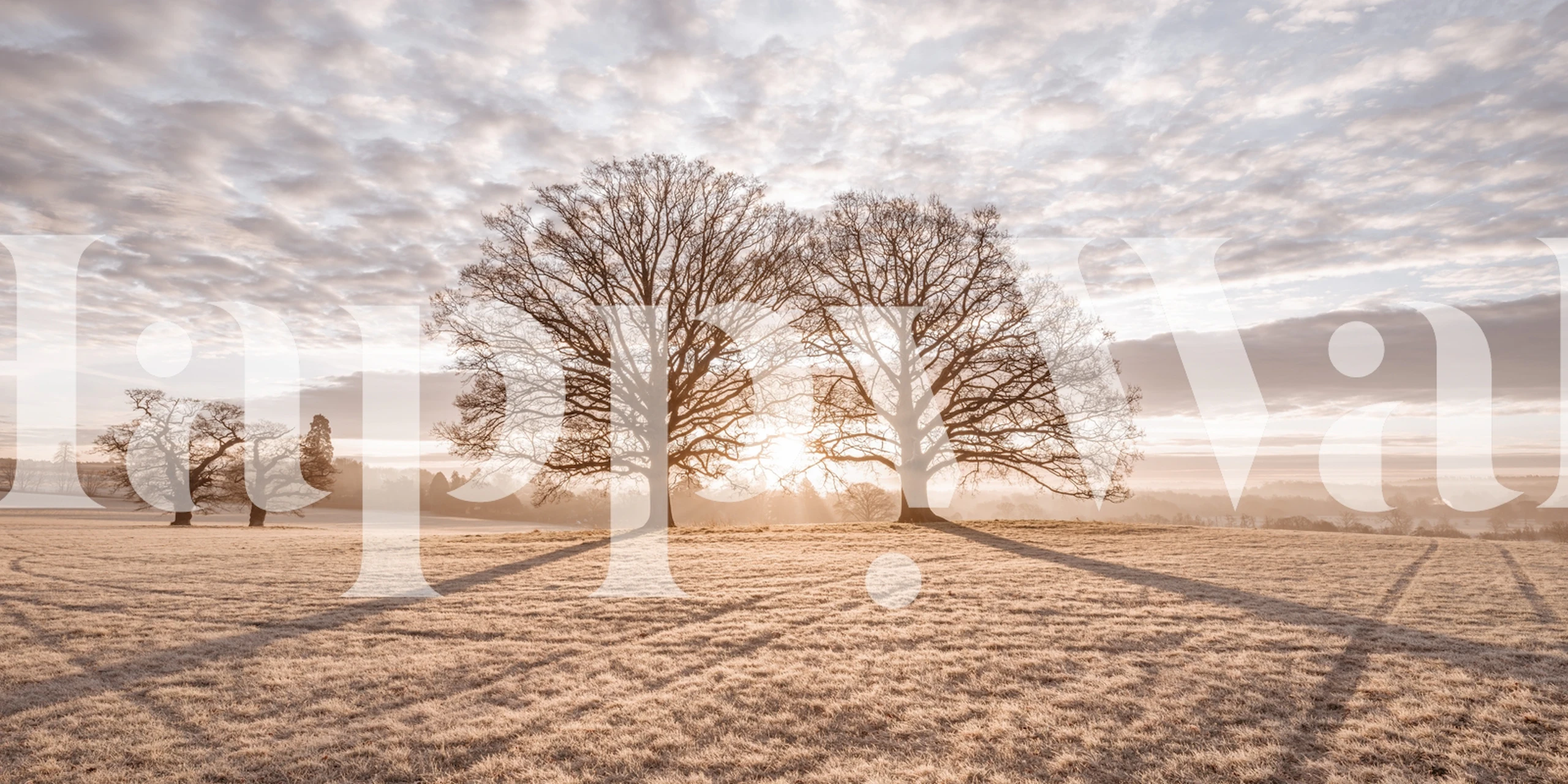 Návrh tapety Trees in meadow v místnosti
