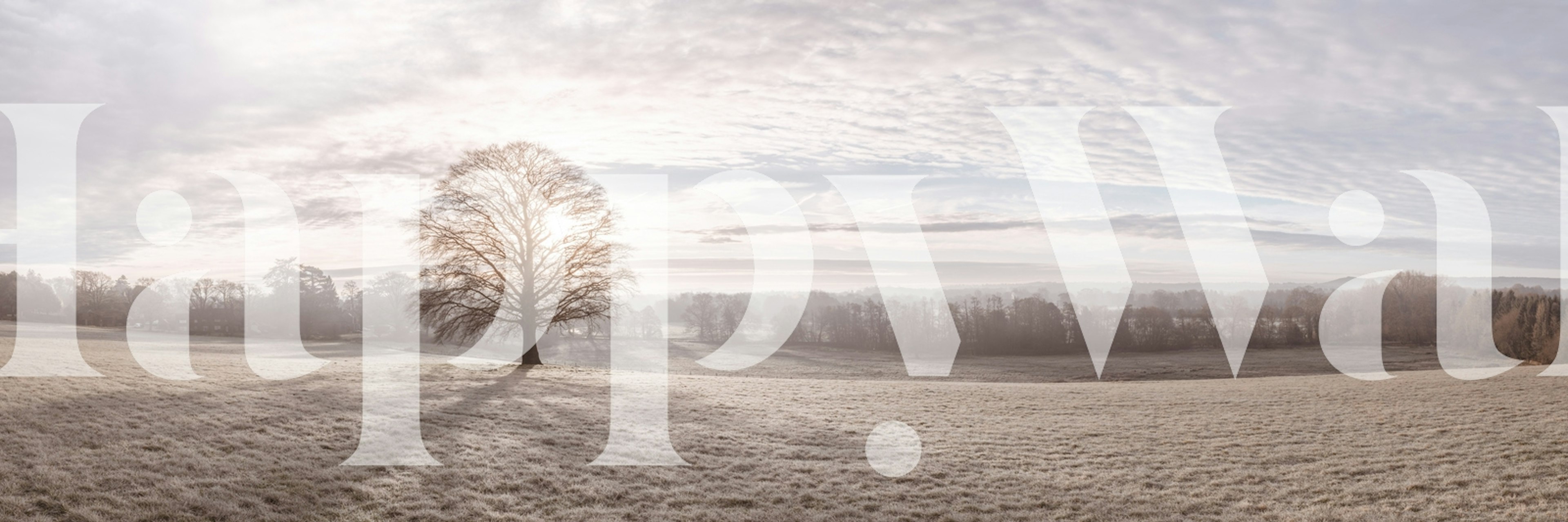 Lone tree in a misty meadow under a soft sky wallpaper