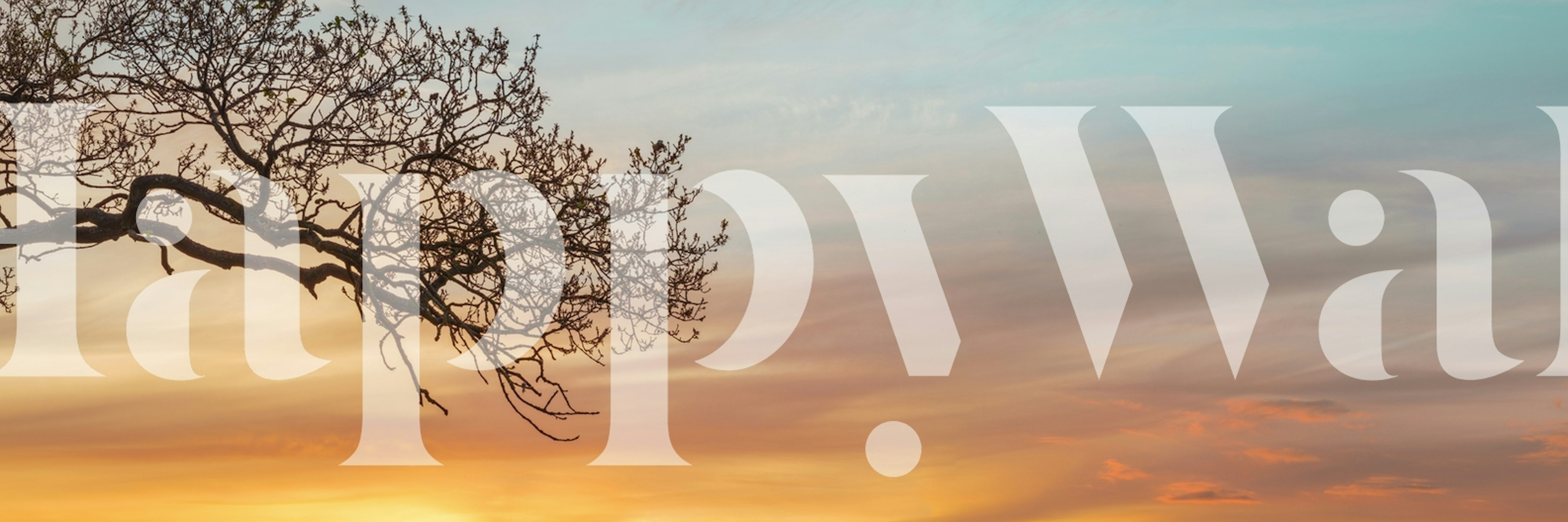 Branches silhouetted against a sunset