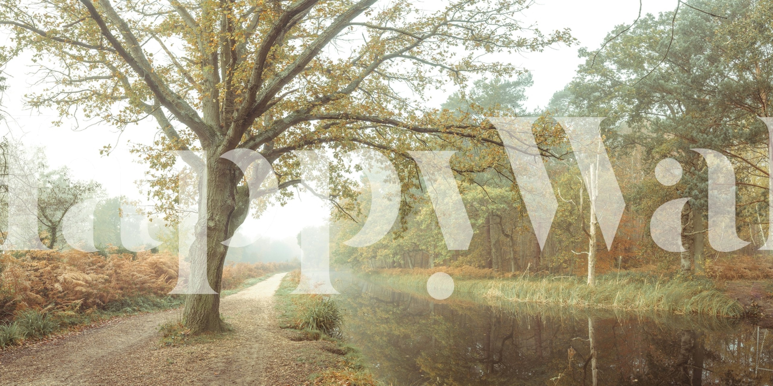 Jesenski canal s drvećem dekoracija zida