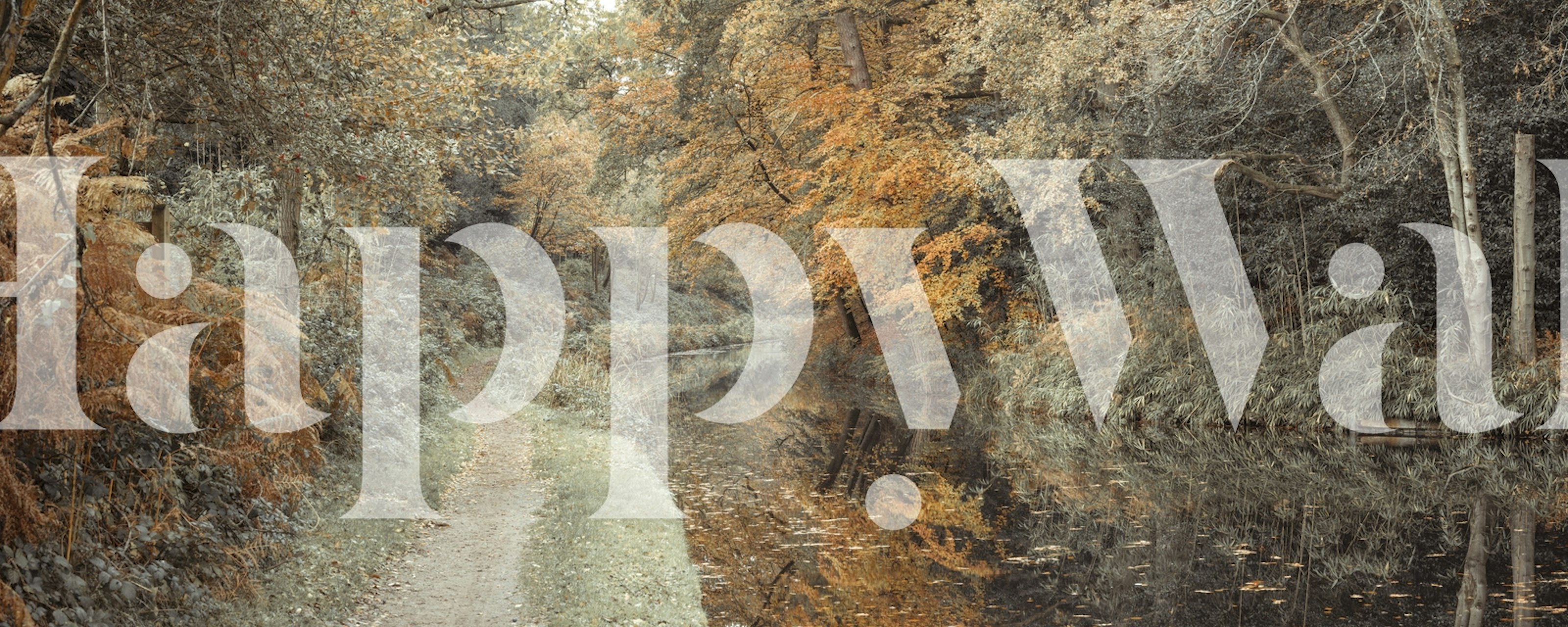 Sentier près du canal dans la forêt murale représentant une scène de forêt automnale avec une voie navigable douce