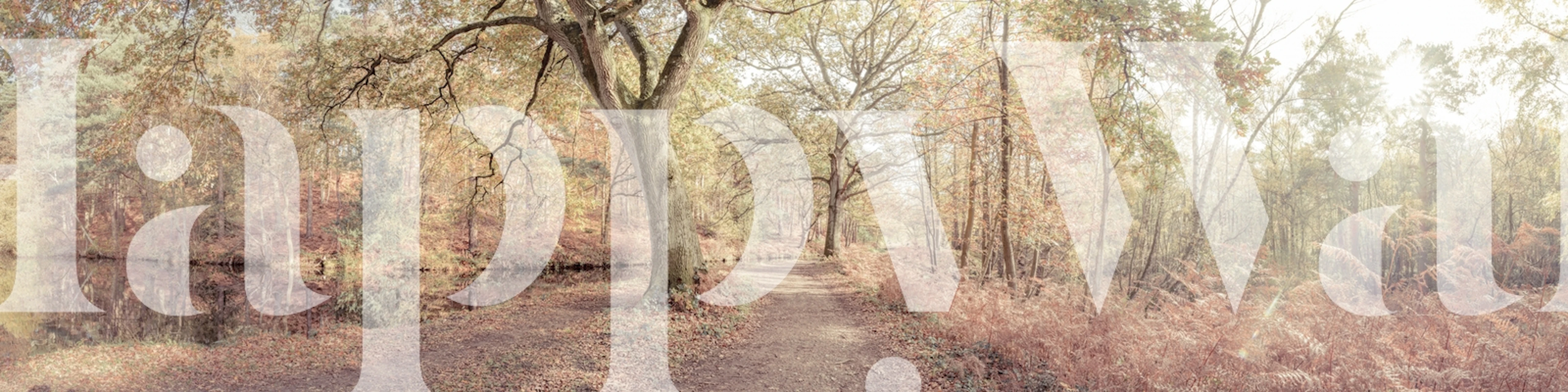 Poklidná cesta u Pathway by canal in Forest tapety