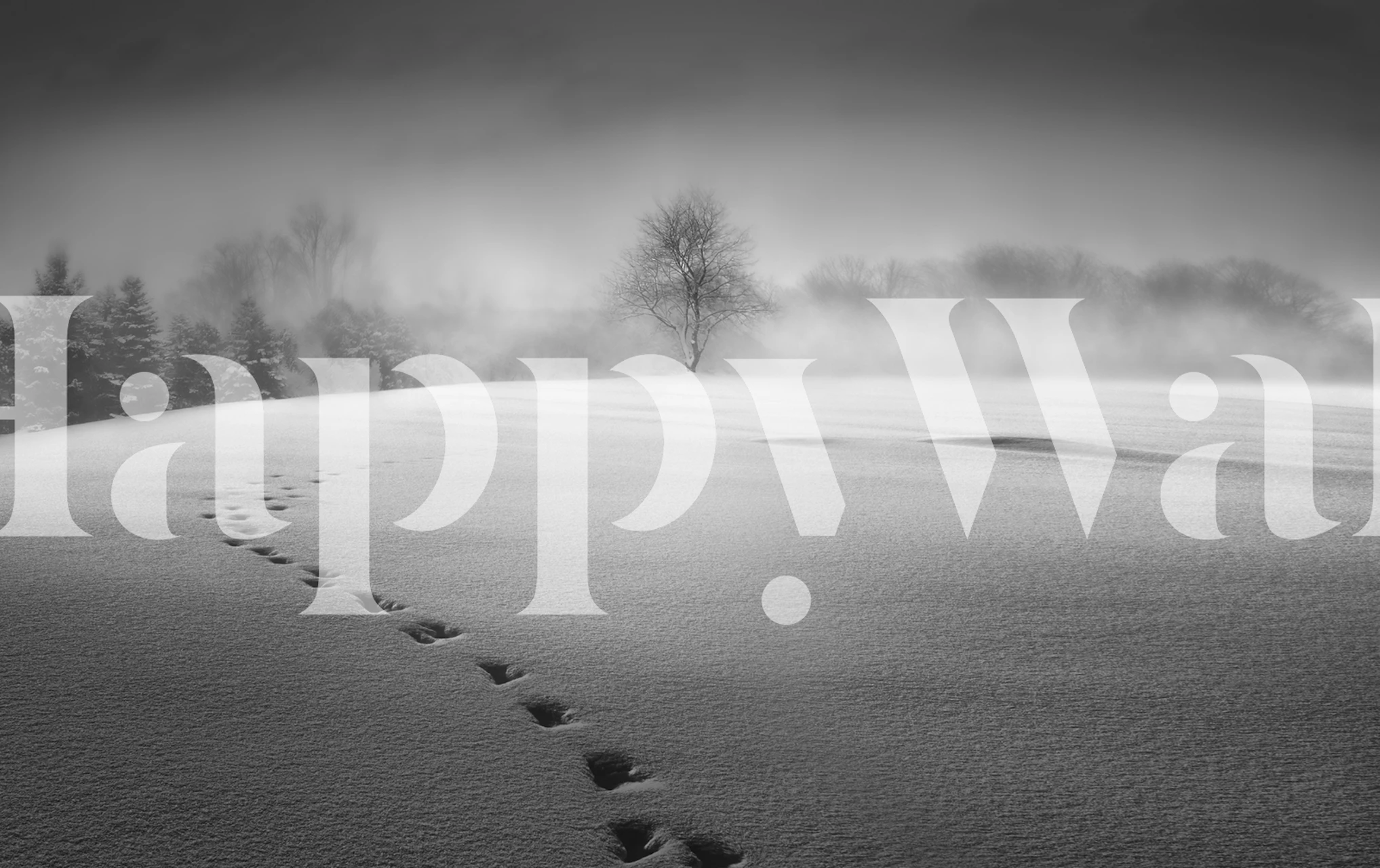 Snow-covered landscape with footprints and foggy trees in black and white