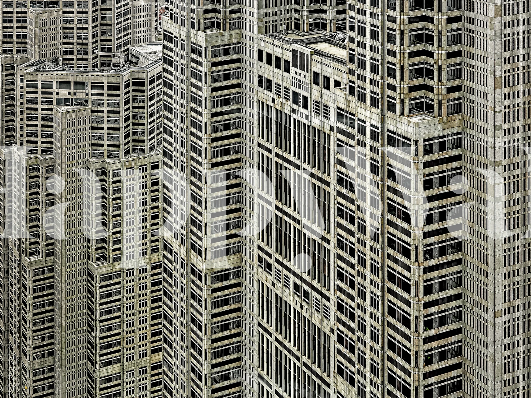 Papier peint mural forêt gratte-ciel urbain monochrome