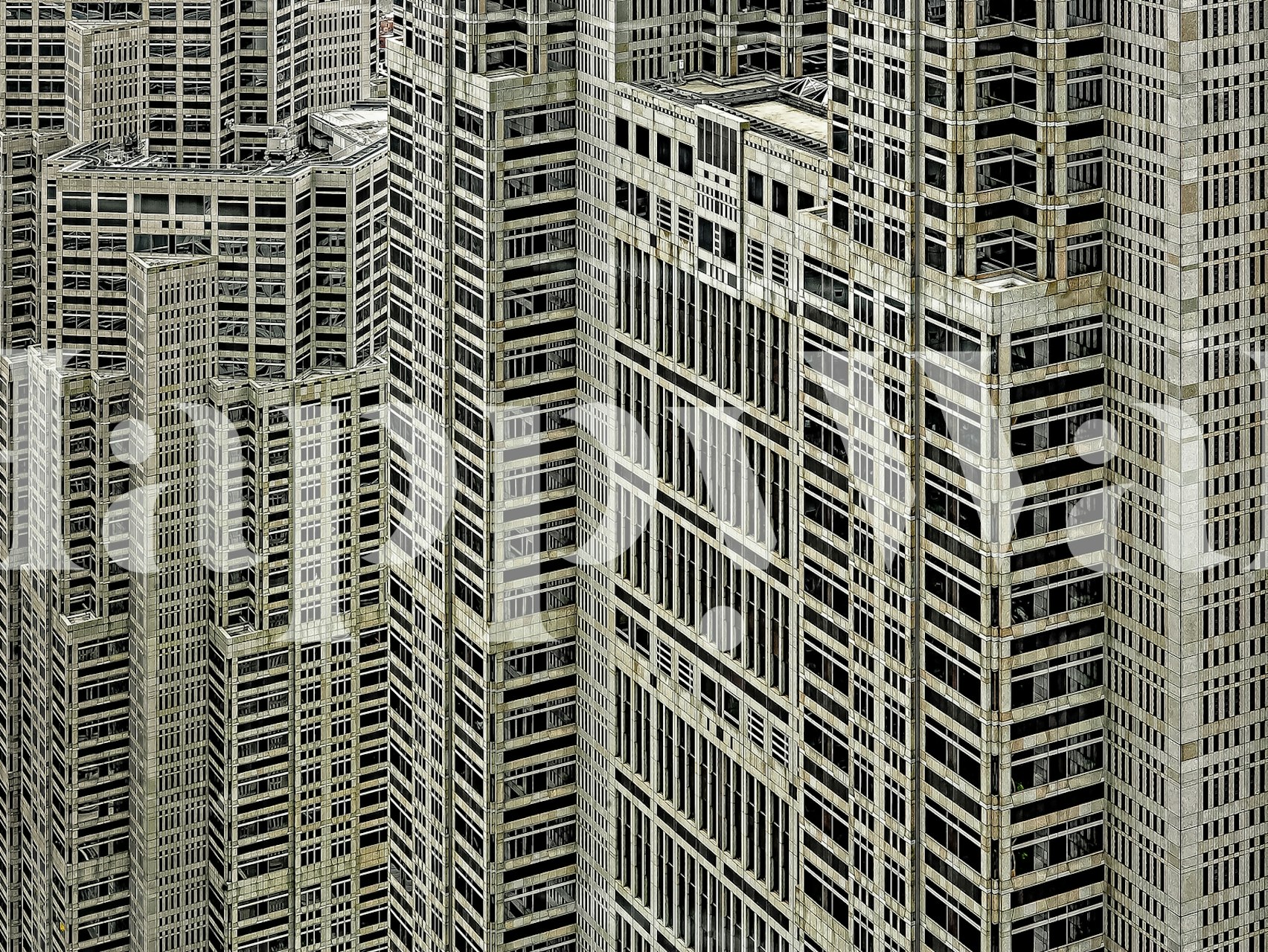 Monokrom urban skyskraber skov vægmaleri