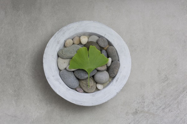 Zen Style Gingko Leaf On Pebble